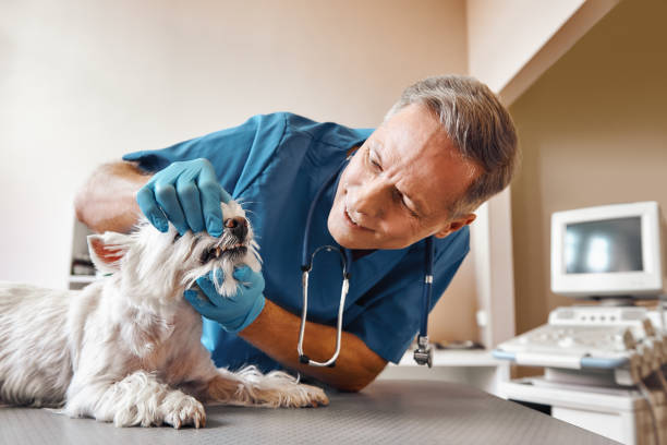 Best Emergency Tooth Extraction in Guernsey, WY